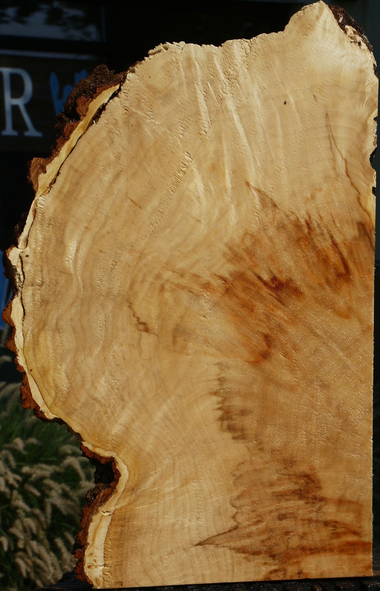 Extra Fancy Box Elder Slice