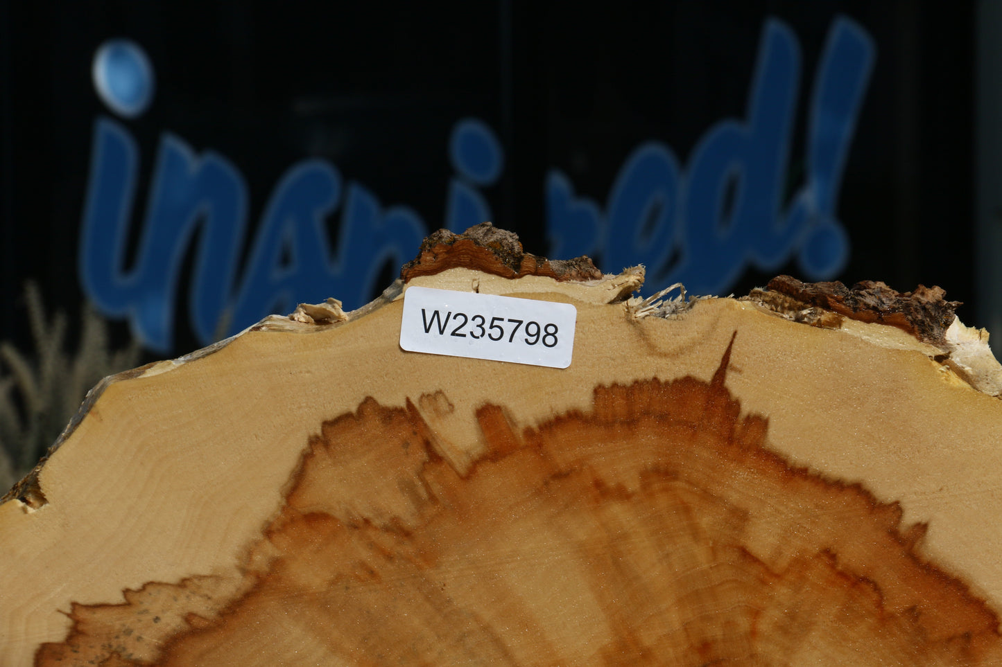 Extra Fancy Box Elder Slice