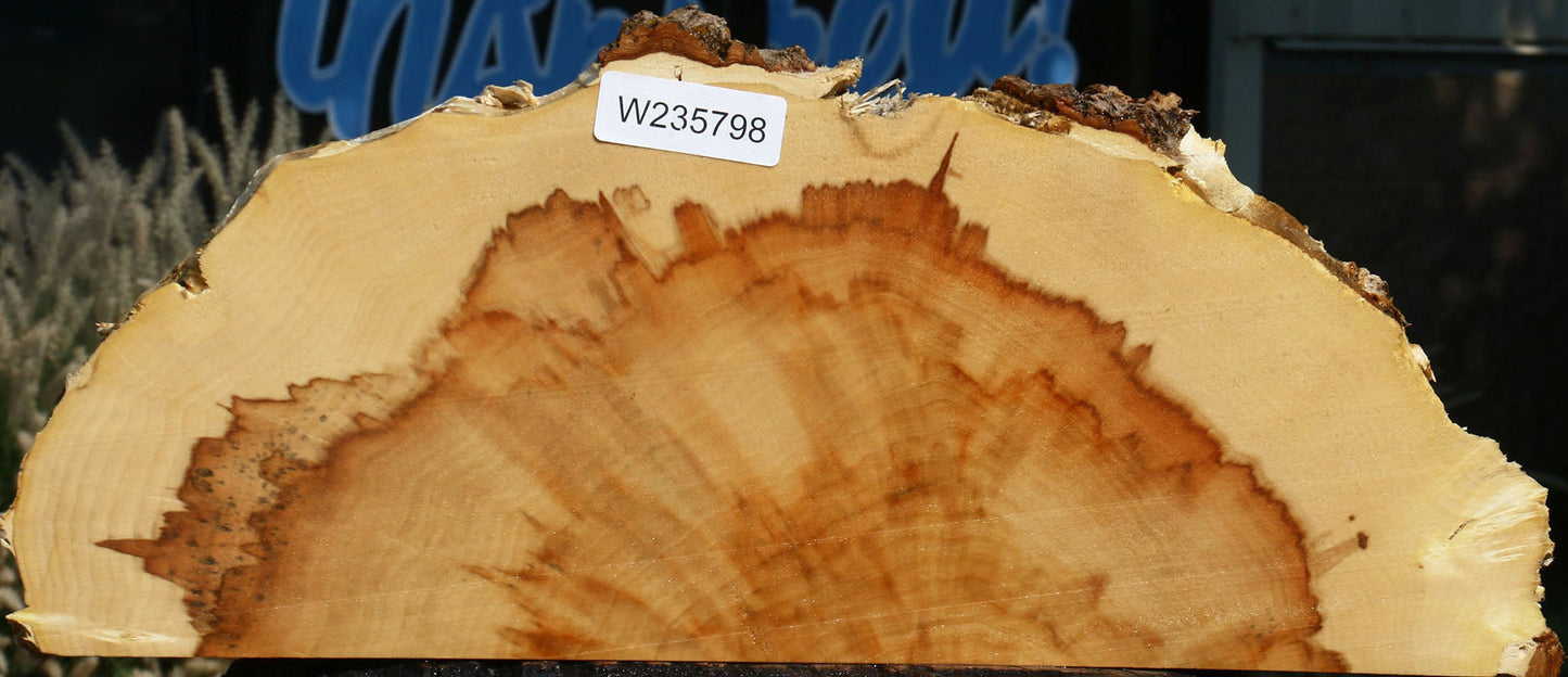 Extra Fancy Box Elder Slice