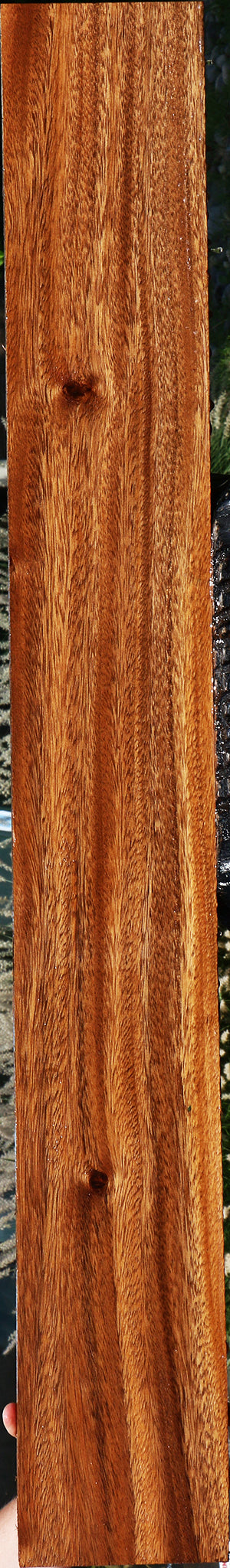 Figured Monkeypod Lumber