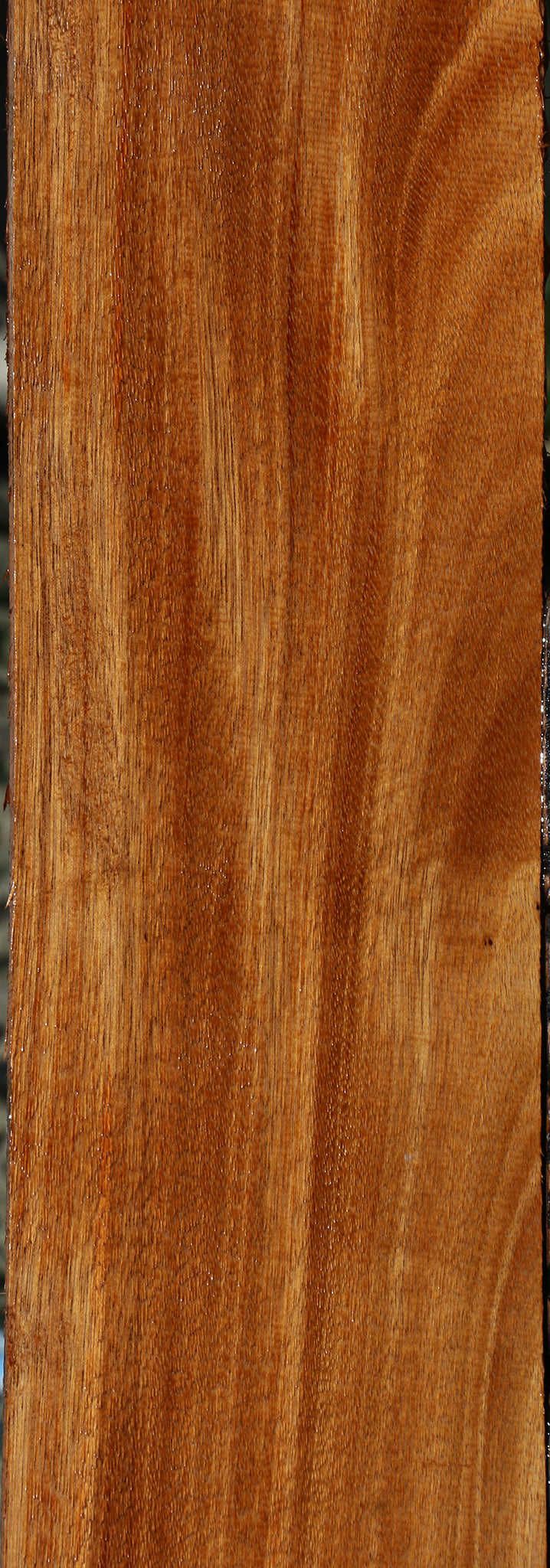 Figured Monkeypod Lumber