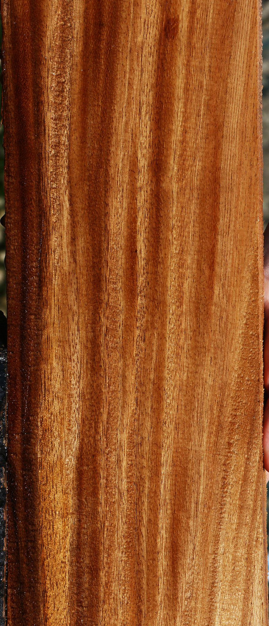 Figured Quartersawn Monkeypod Lumber