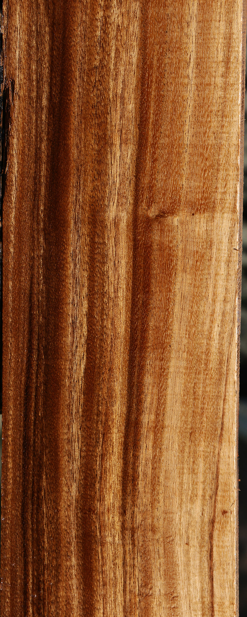 Figured Quartersawn Monkeypod Lumber