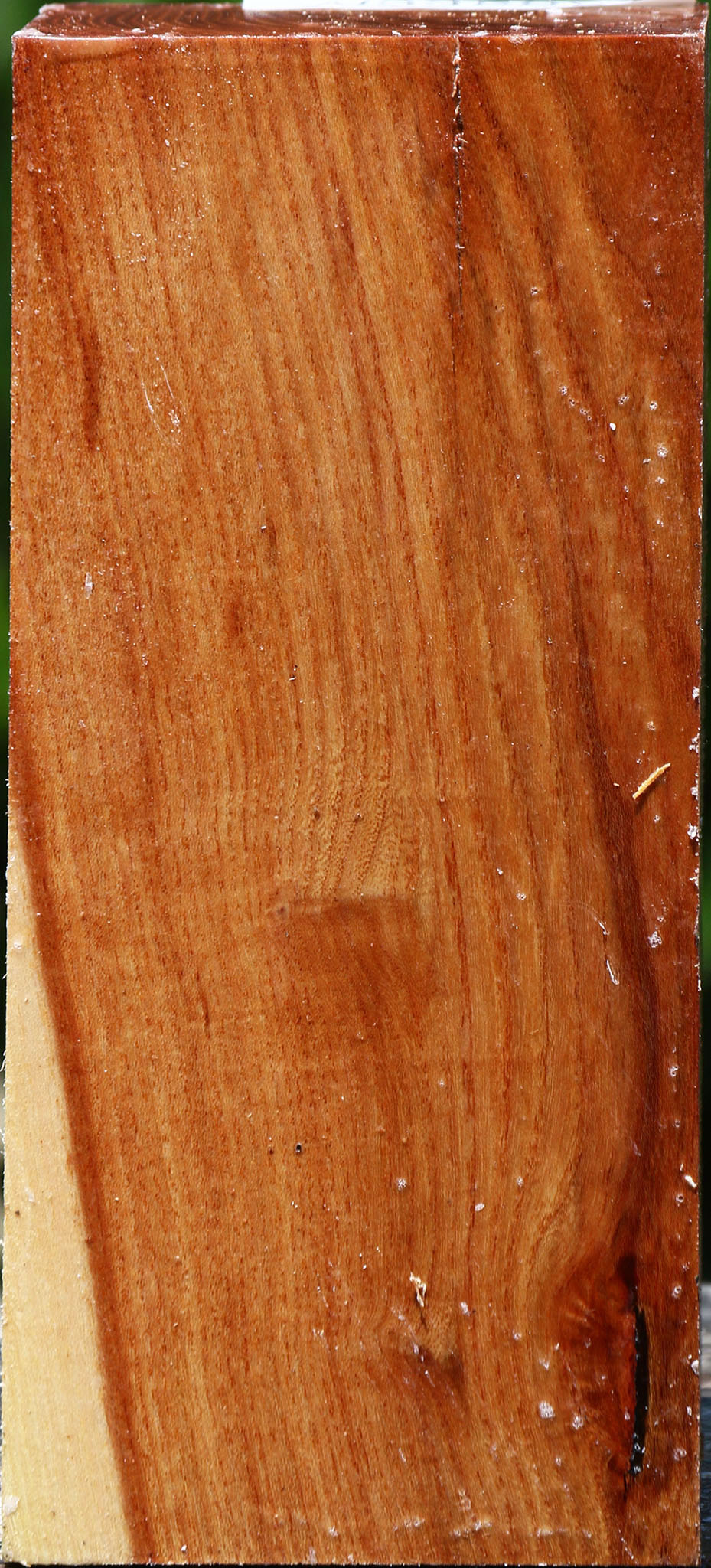 Chinese Elm Turning Square