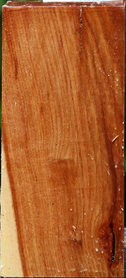 Chinese Elm Turning Square