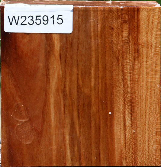 Chinese Elm Bowl Blank