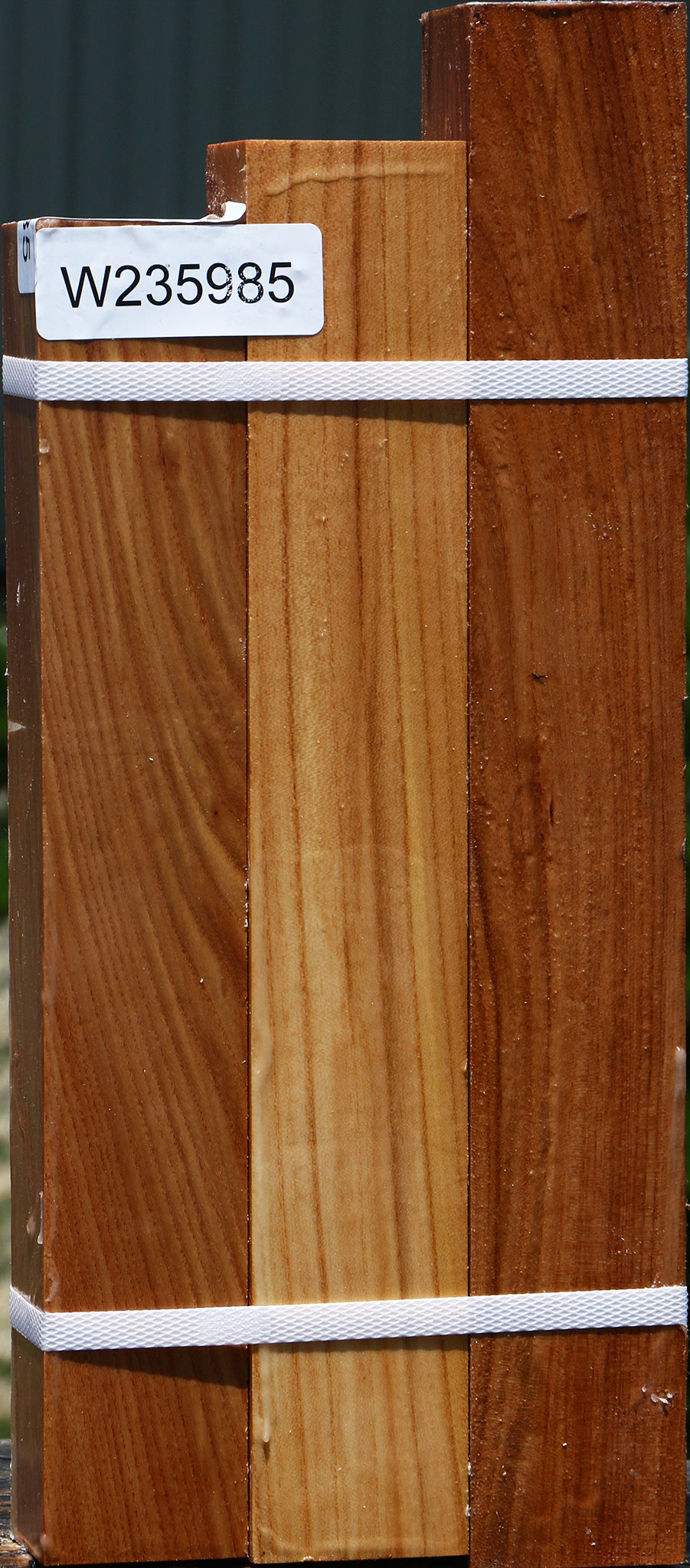 Chinese Elm Turning Square 3 Pack