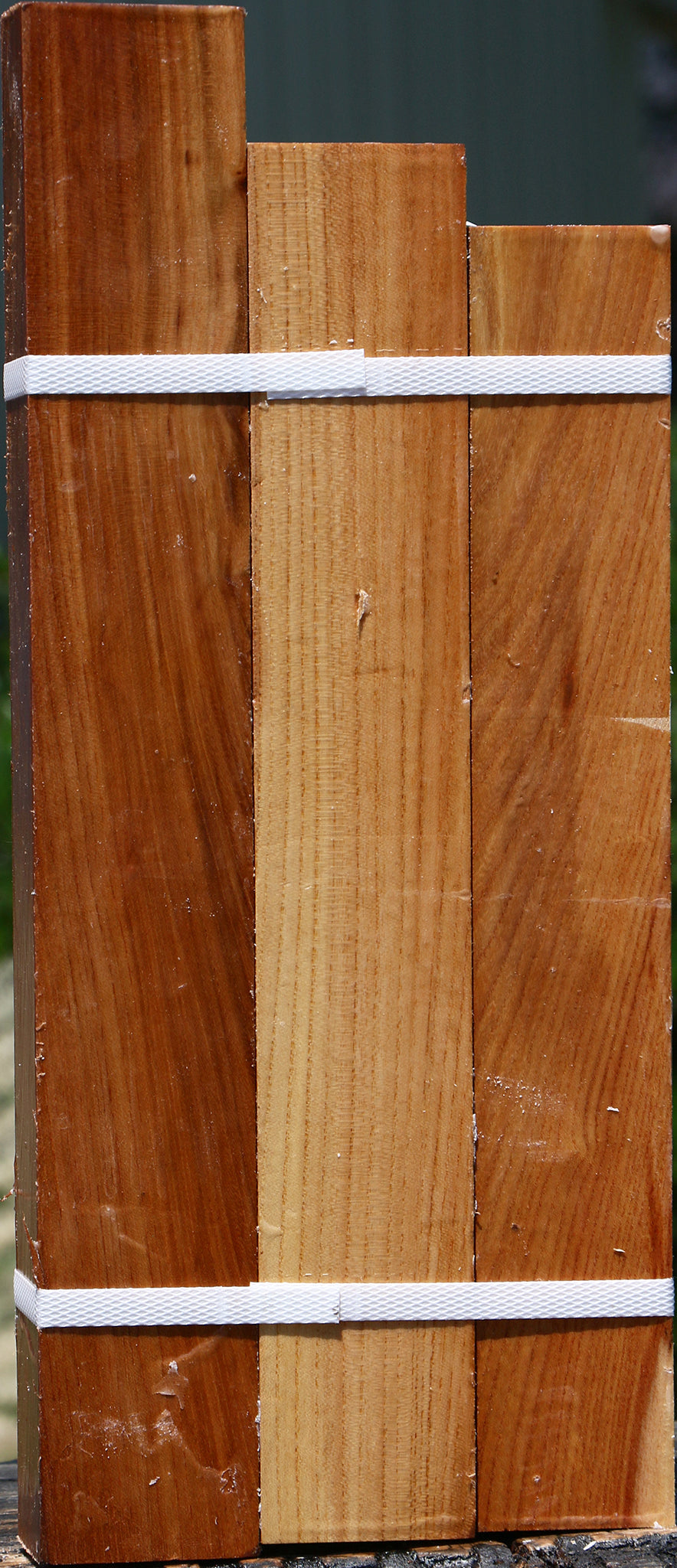 Chinese Elm Turning Square 3 Pack