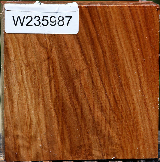 Figured Chinese Elm Bowl Blank