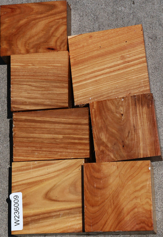 Chinese Elm Turning Bargain Box