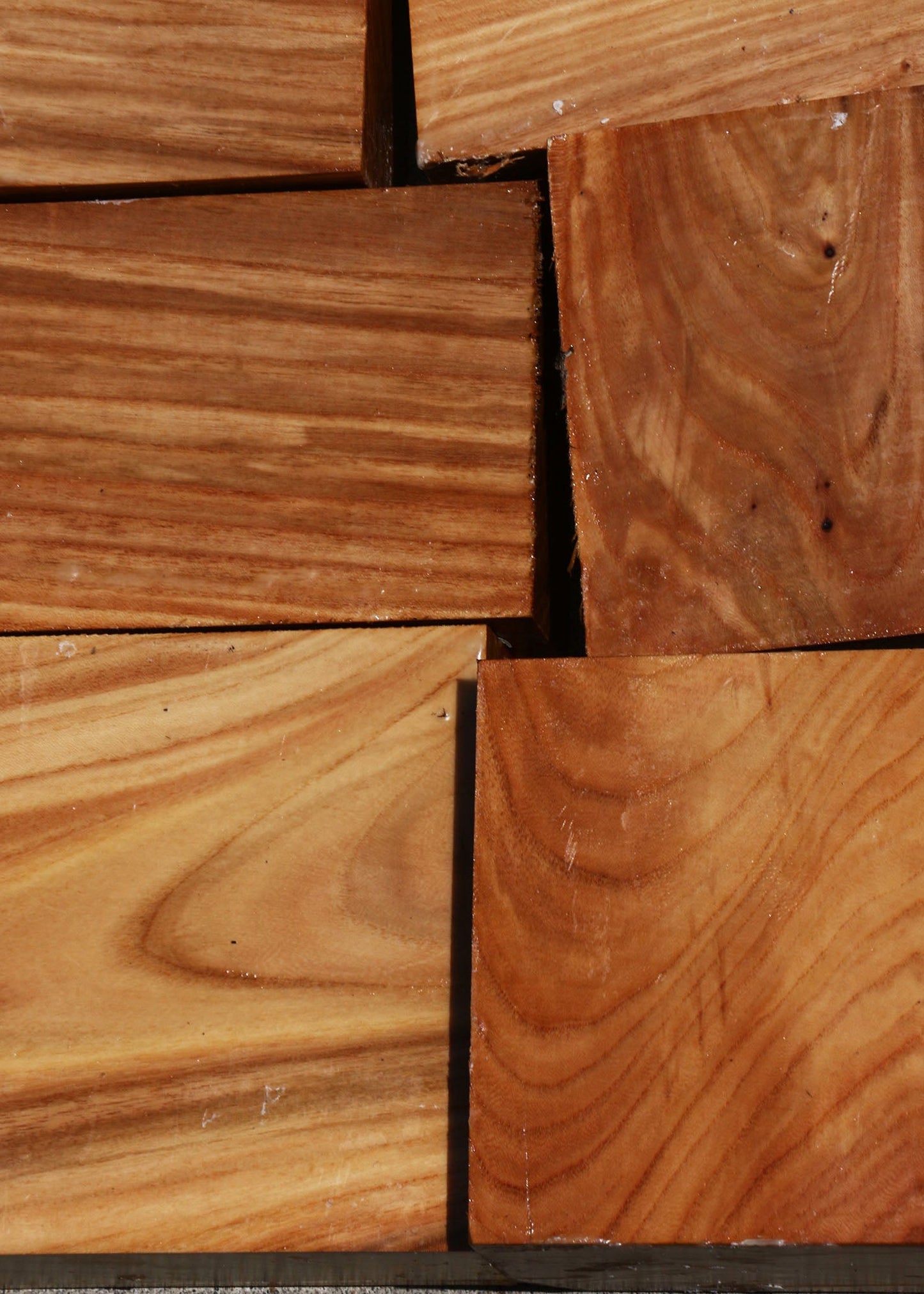 Chinese Elm Turning Bargain Box