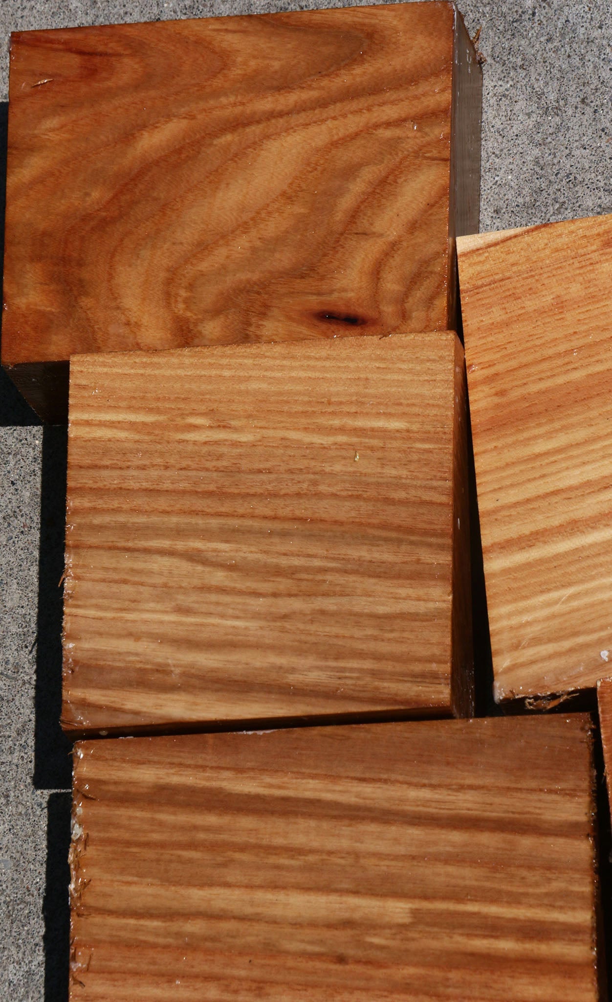 Chinese Elm Turning Bargain Box