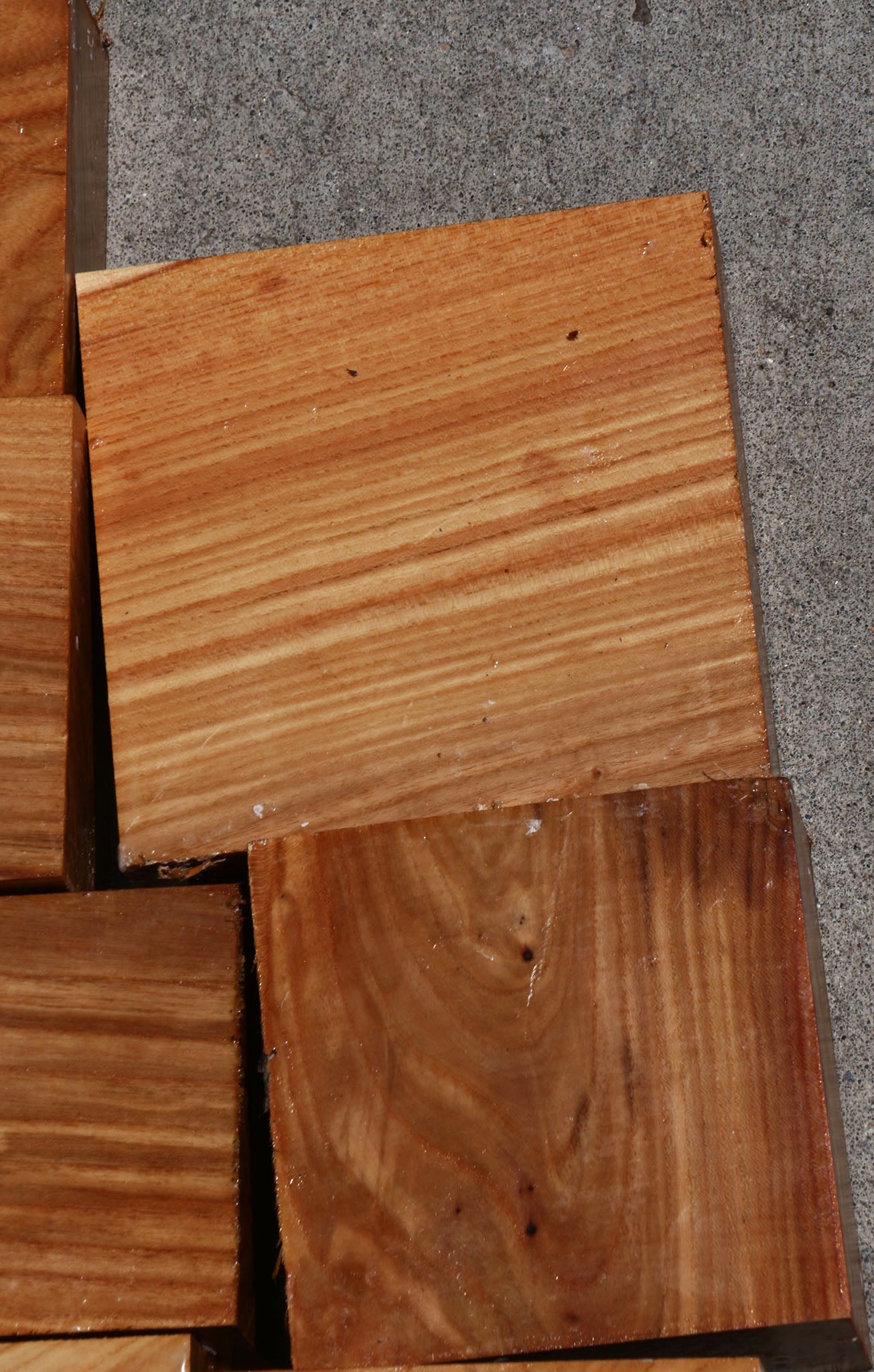 Chinese Elm Turning Bargain Box