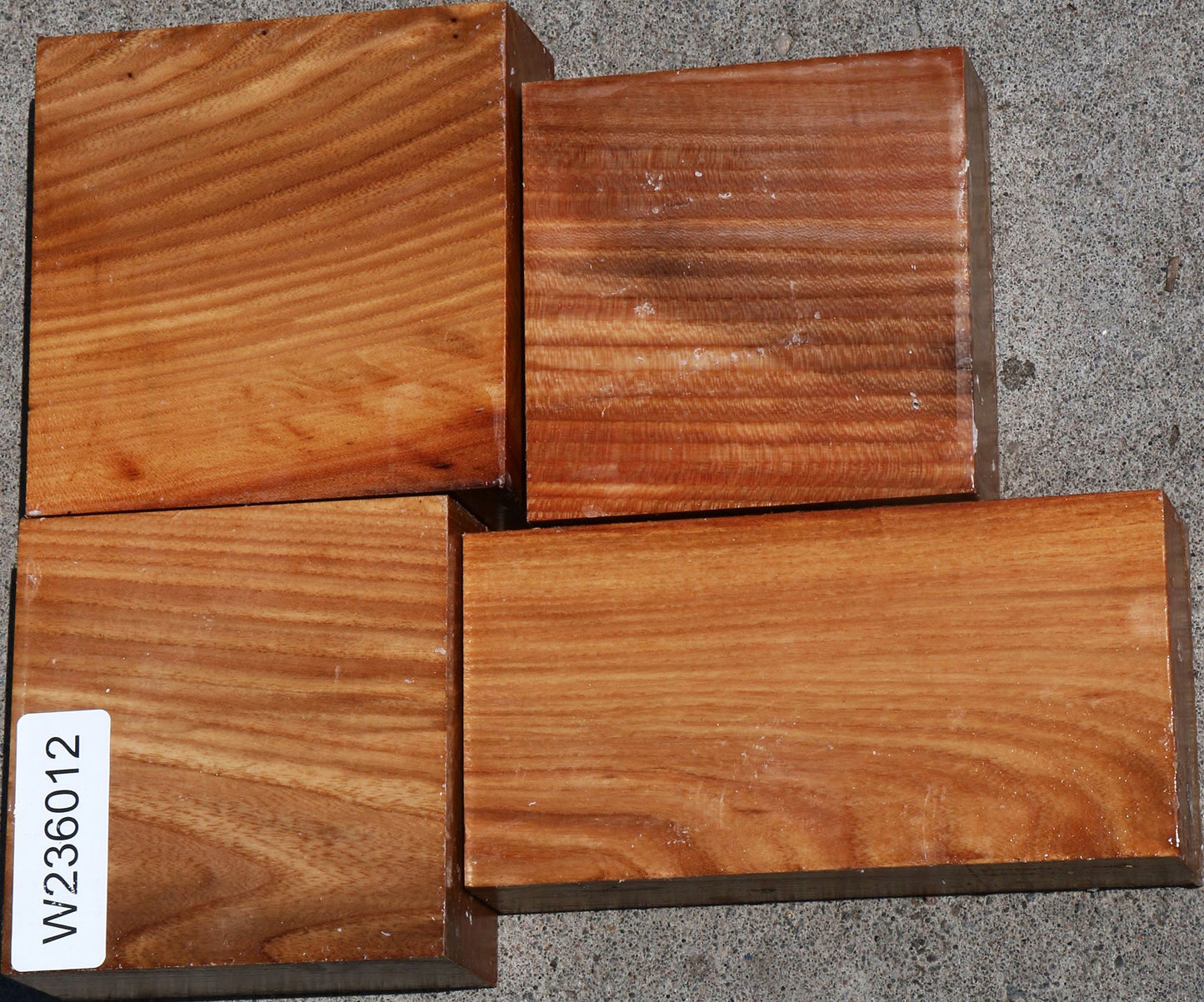 Chinese Elm Turning Bargain Box