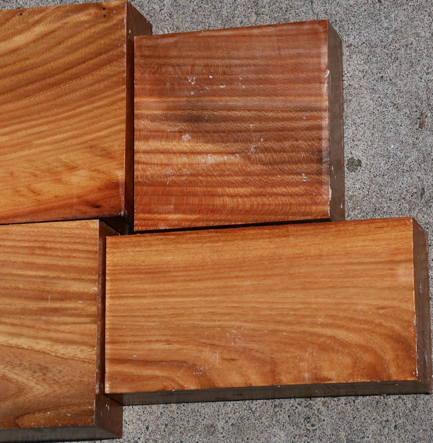 Chinese Elm Turning Bargain Box