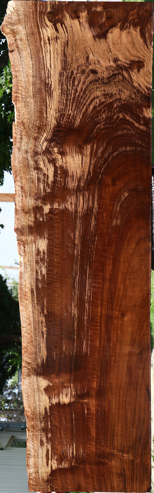 Extra Fancy Claro Walnut Live Edge Slab (Free Shipping Excluded)