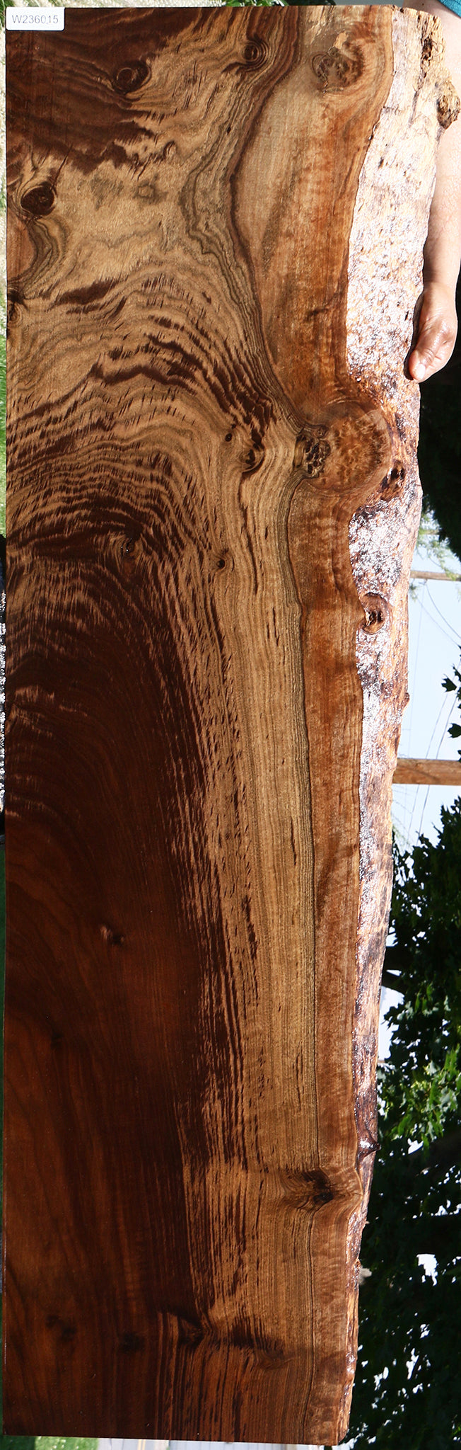 Extra Fancy Claro Walnut Live Edge Slab (Free Shipping Excluded)