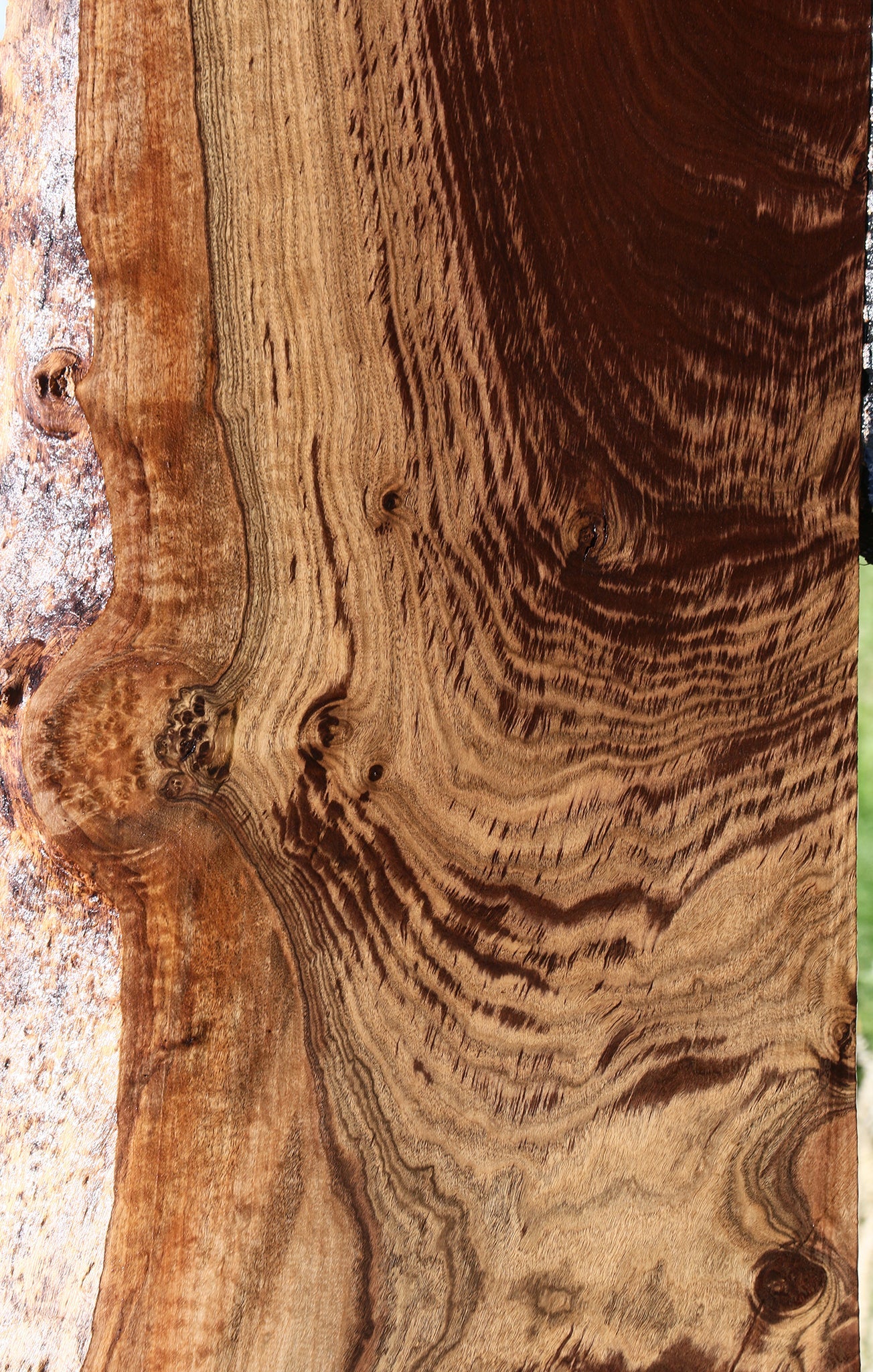 Extra Fancy Claro Walnut Live Edge Slab (Free Shipping Excluded)