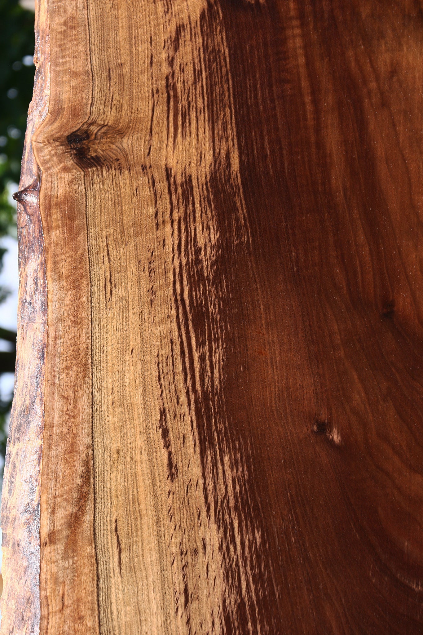 Extra Fancy Claro Walnut Live Edge Slab (Free Shipping Excluded)