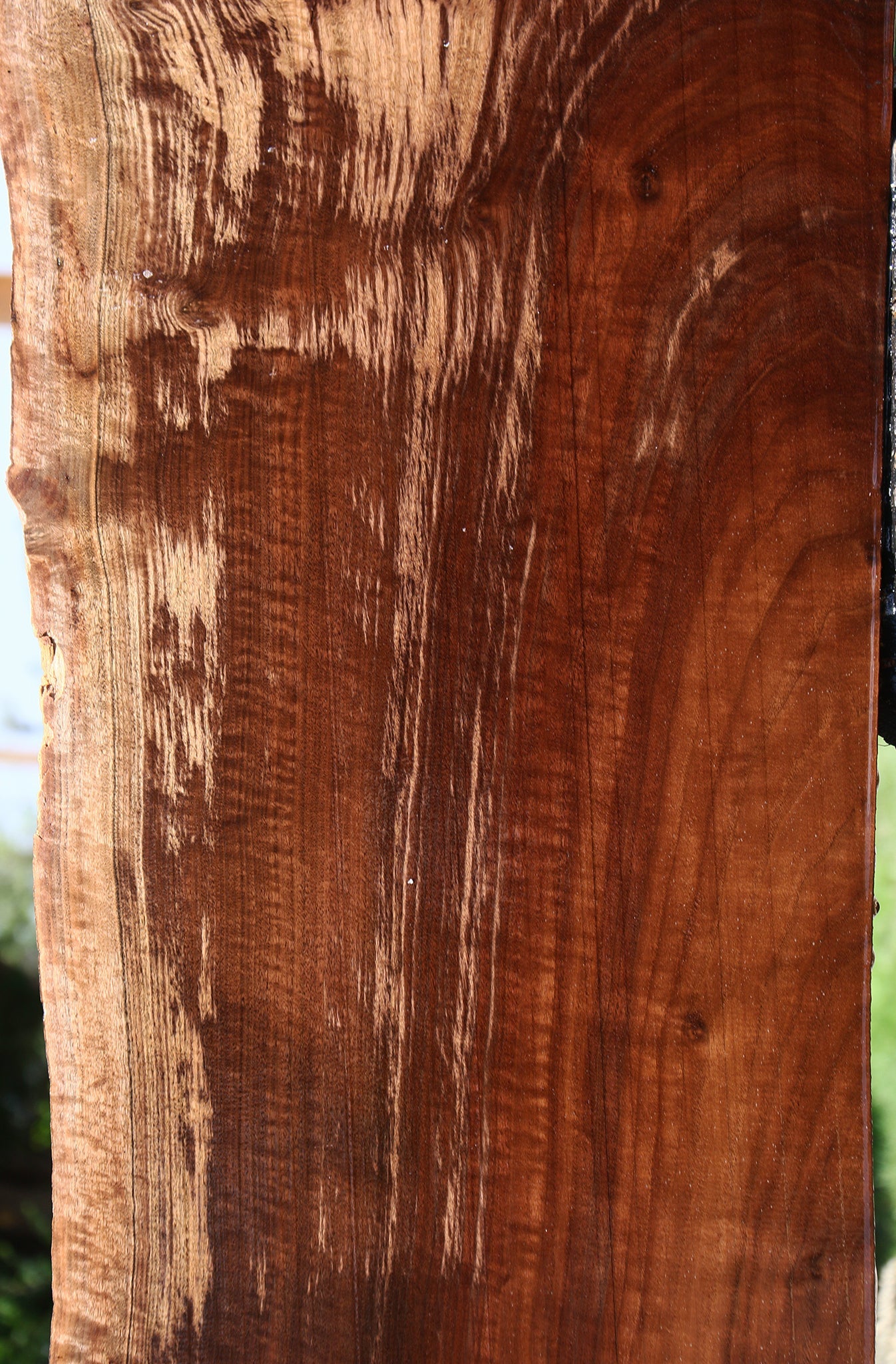 Extra Fancy Claro Walnut Live Edge Slab (Free Shipping Excluded)
