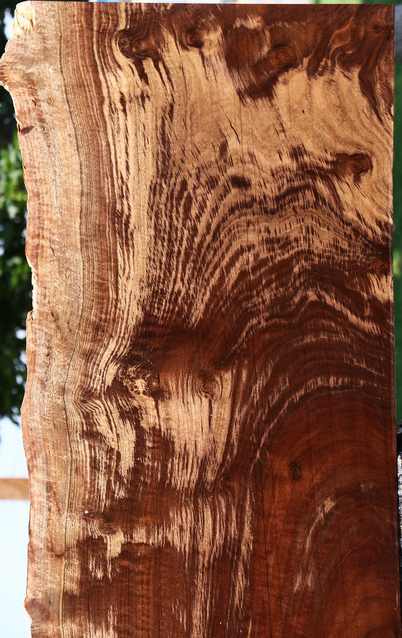 Extra Fancy Claro Walnut Live Edge Slab (Free Shipping Excluded)