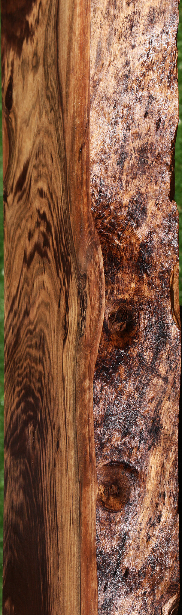 Extra Fancy Claro Walnut Live Edge Slab (Free Shipping Excluded)