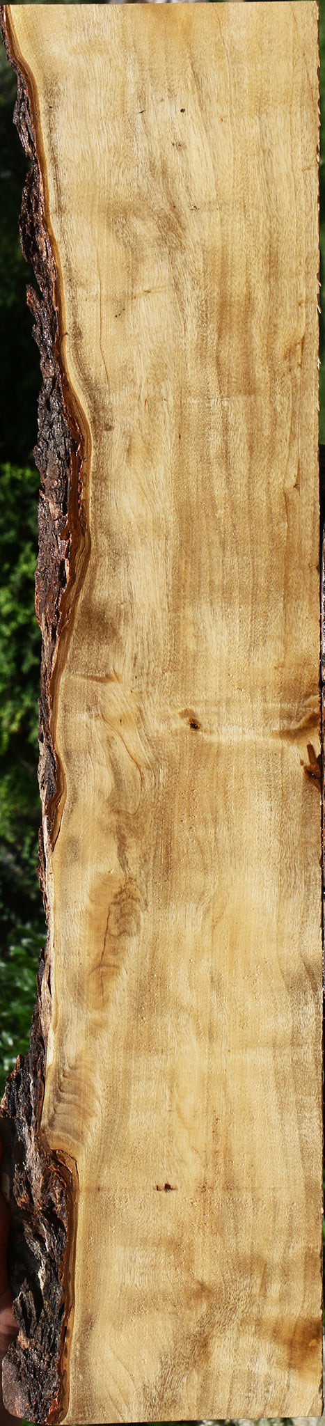 Figured Hackberry Live Edge Lumber