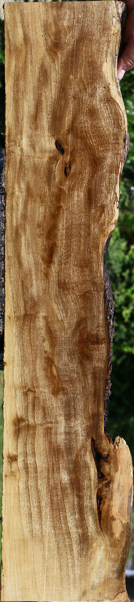 Extra Fancy Hackberry Live Edge Lumber