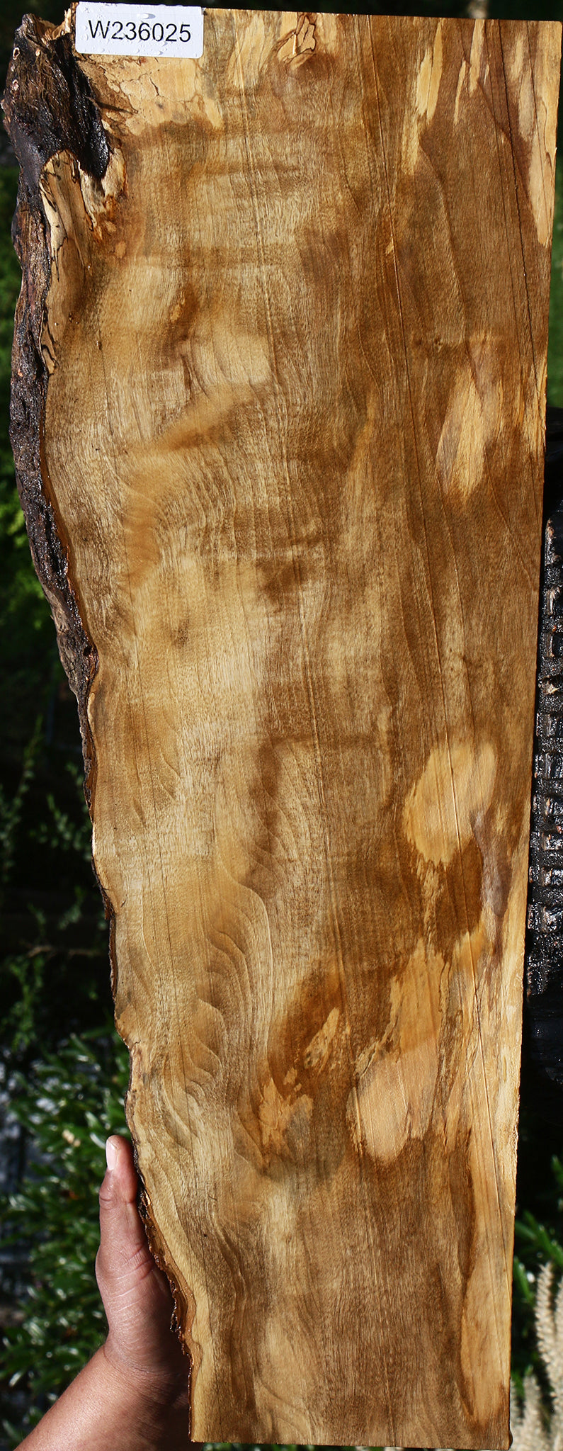 Figured Rustic Hackberry Live Edge Lumber