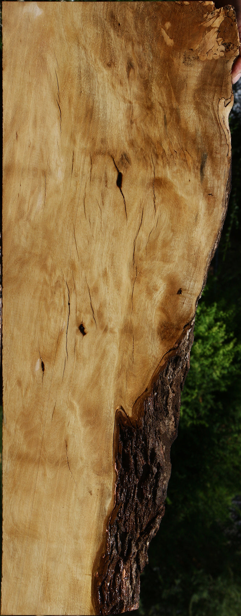 Figured Rustic Hackberry Live Edge Lumber