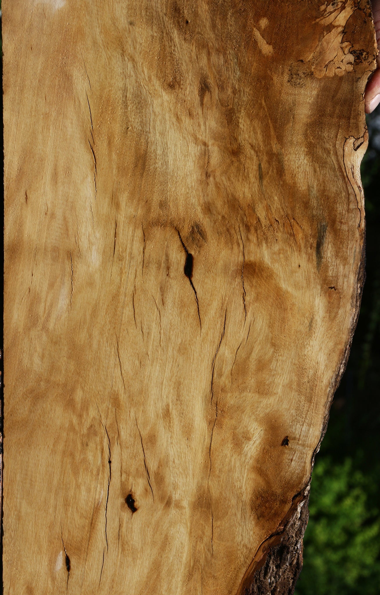 Figured Rustic Hackberry Live Edge Lumber