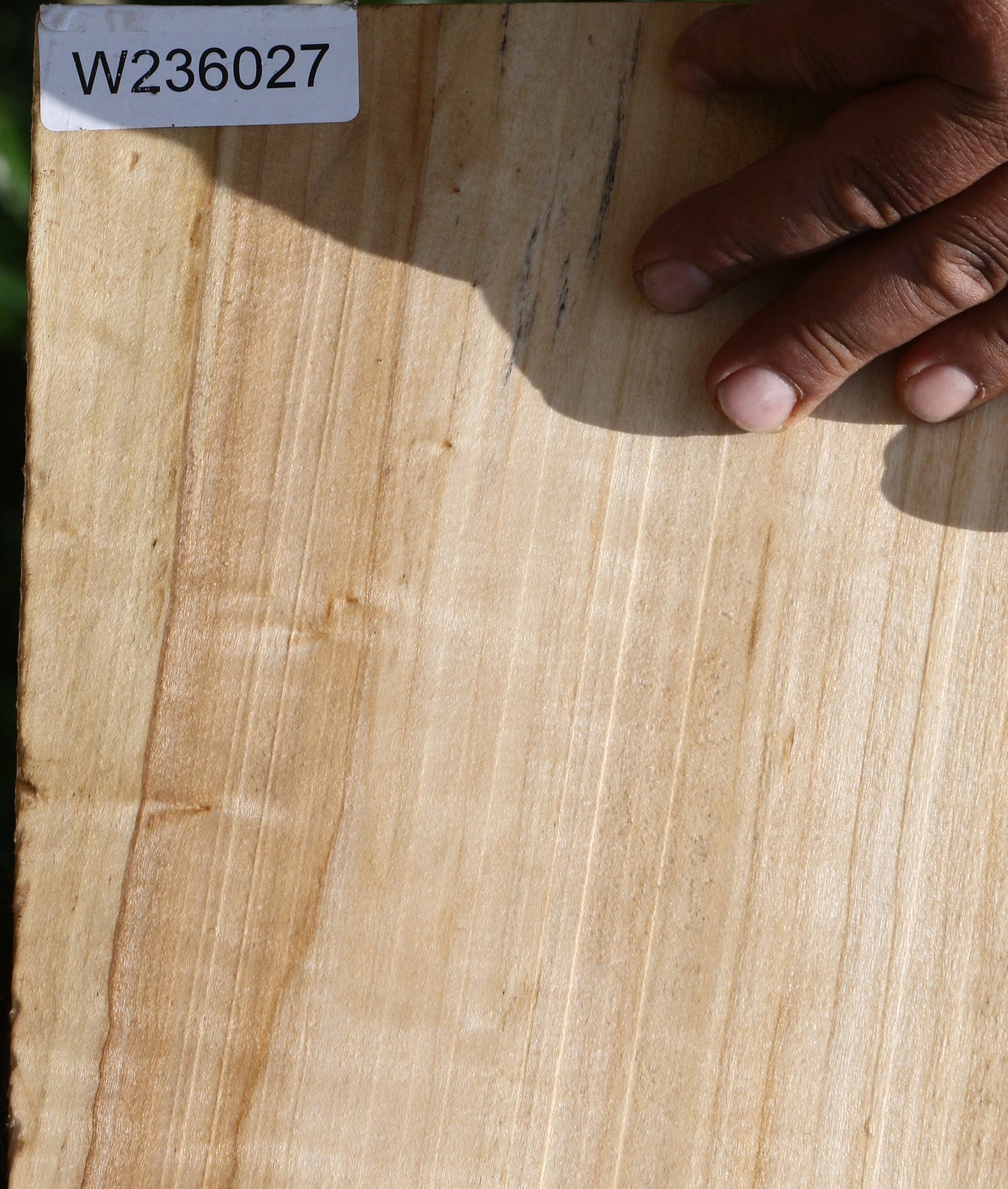 Figured Black Cottonwood Live Edge Mini Slab