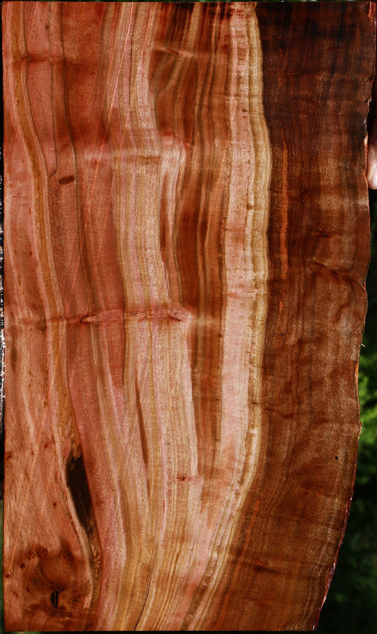 Extra Fancy Brazilian Pepperwood Live Edge Lumber