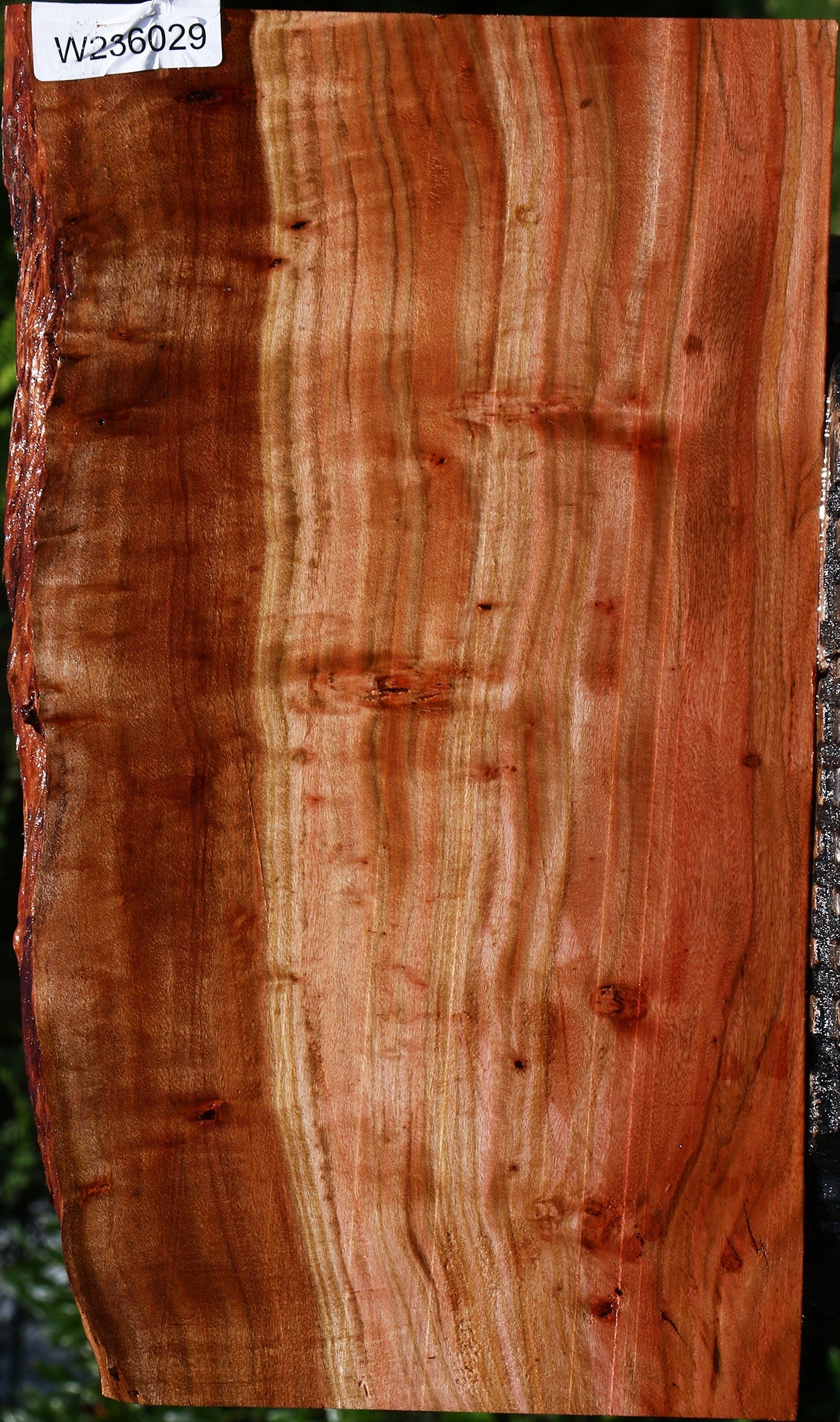 Extra Fancy Brazilian Pepperwood Live Edge Lumber
