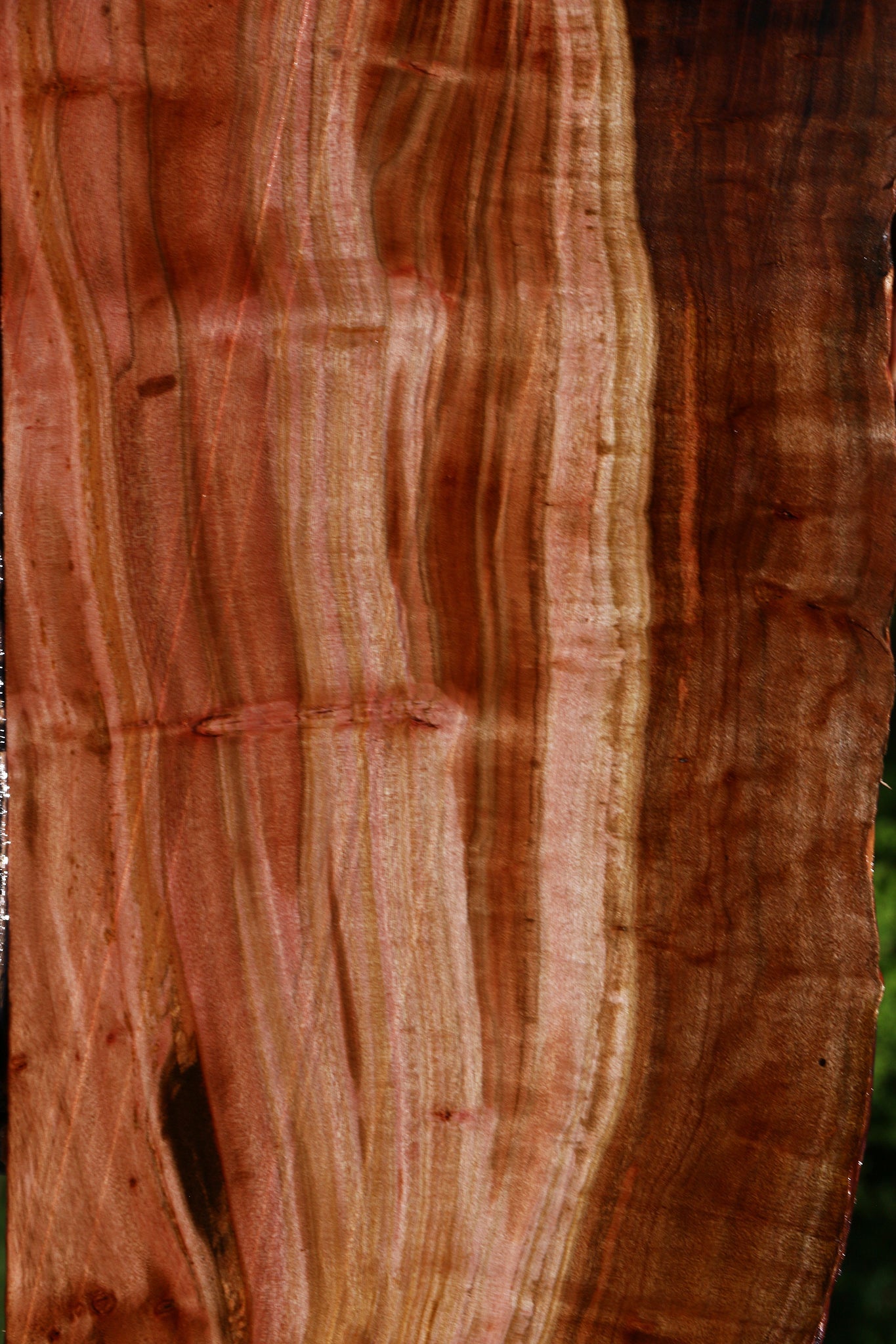 Extra Fancy Brazilian Pepperwood Live Edge Lumber