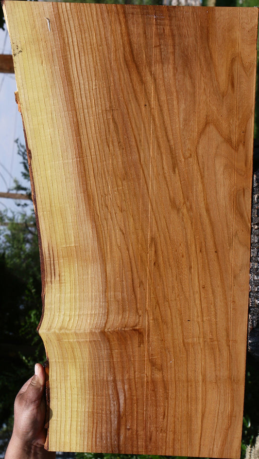 Chinese Elm Live Edge Lumber