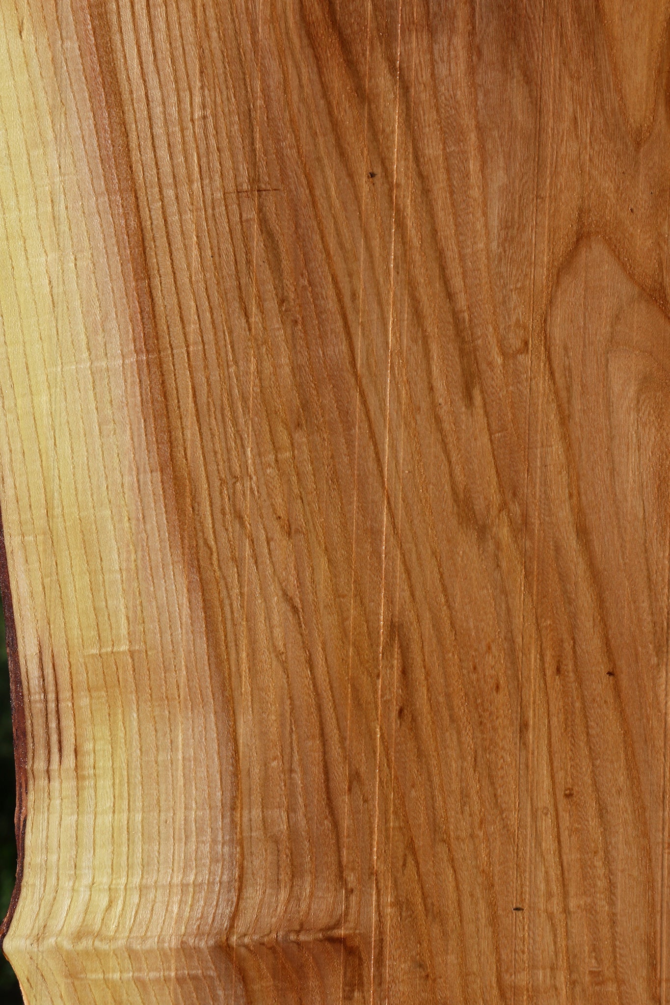 Chinese Elm Live Edge Lumber