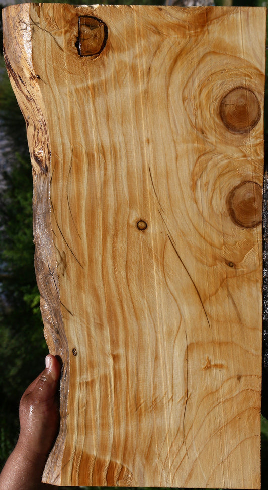 Sitka Spruce Live Edge Lumber