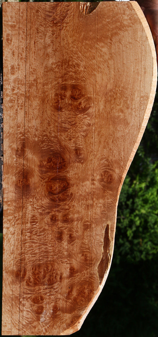 Maple Burl Lumber