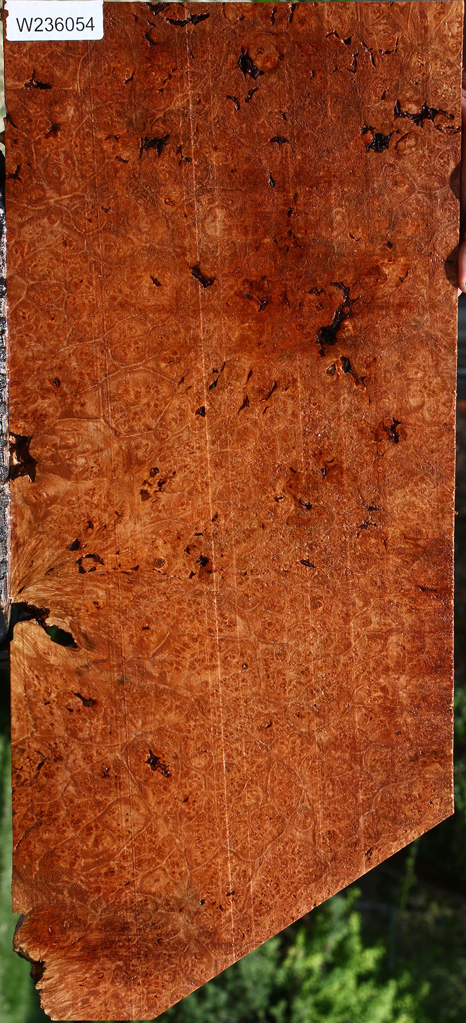 Rustic Maple Burl Lumber