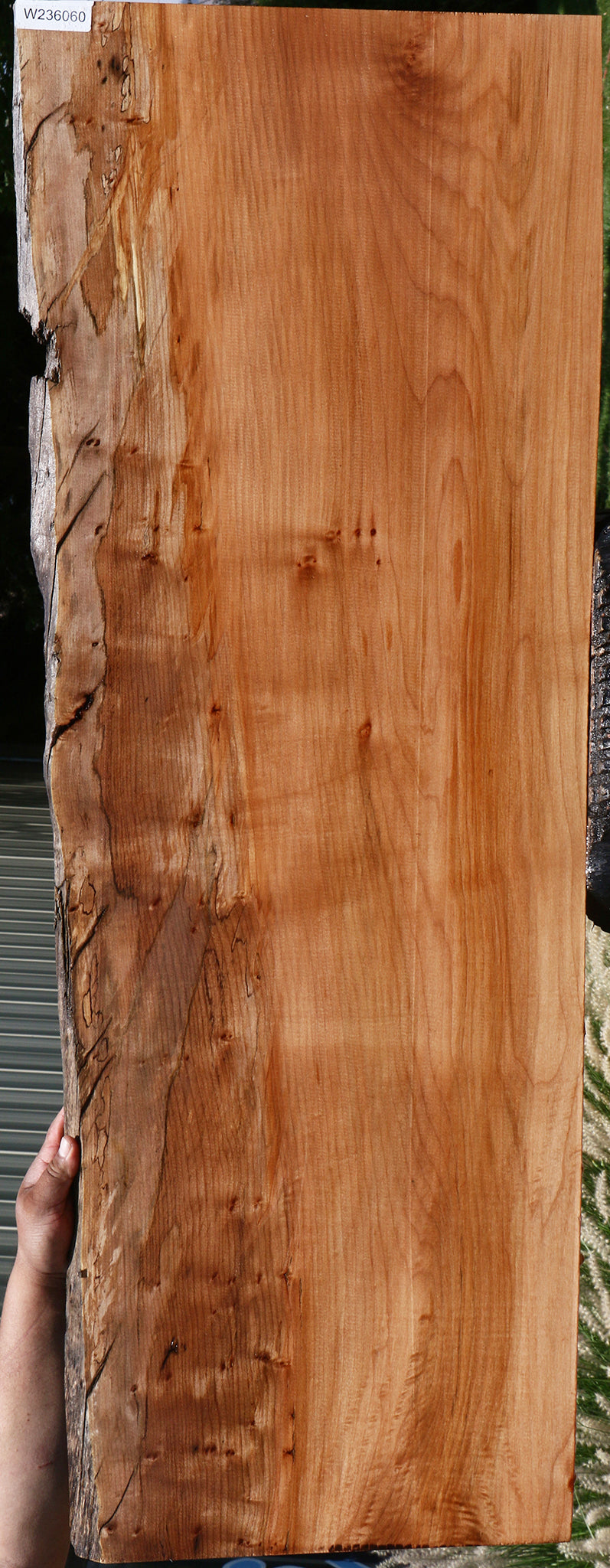 Figured Maple Live Edge Slab
