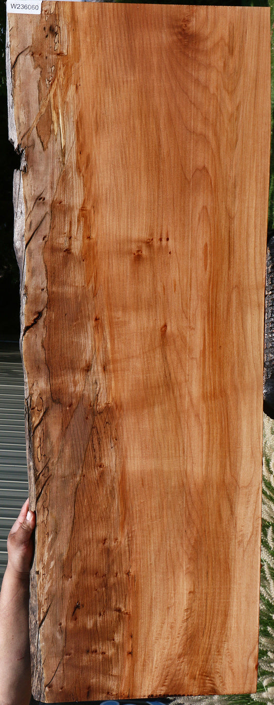Figured Maple Live Edge Slab