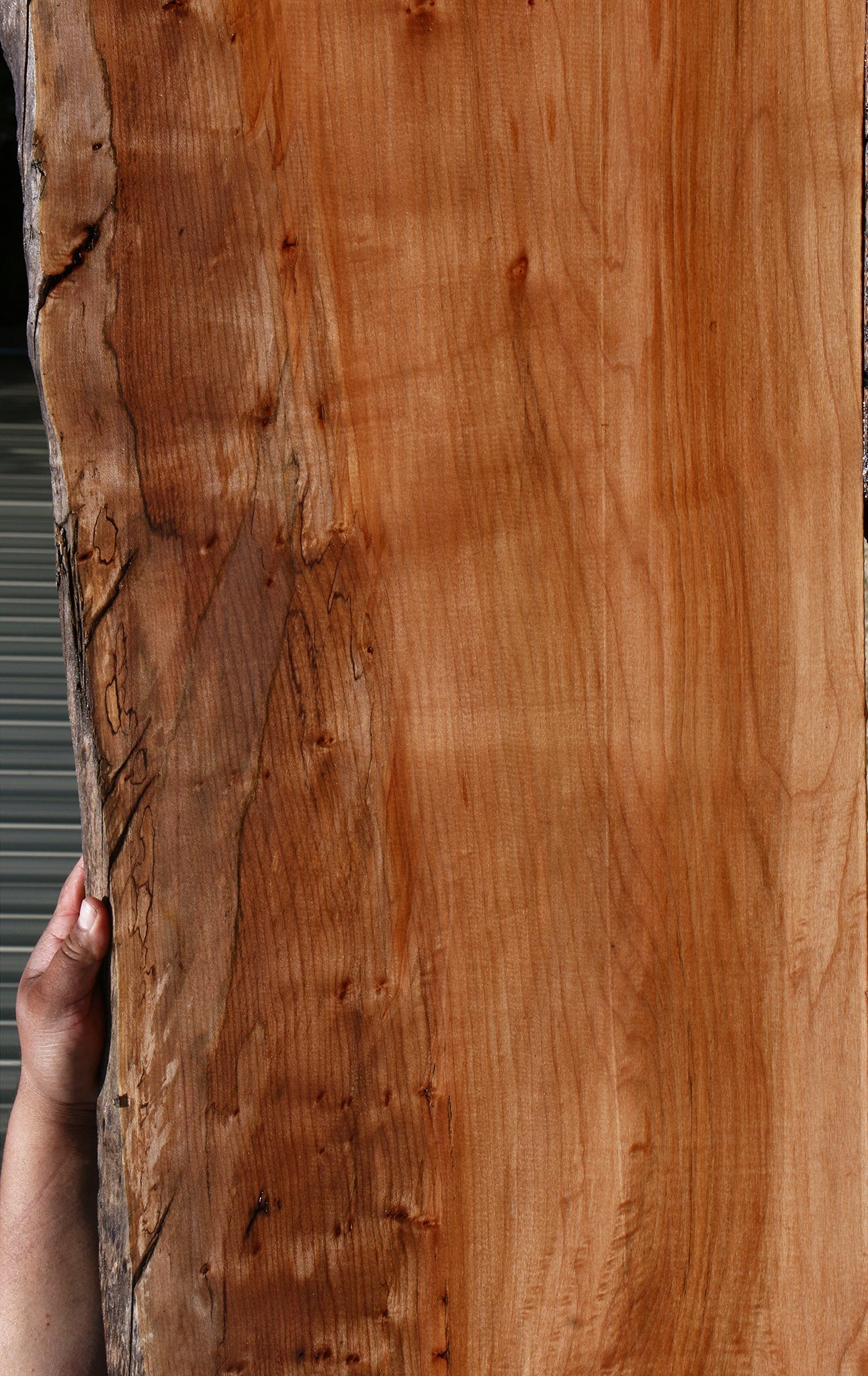 Figured Maple Live Edge Slab