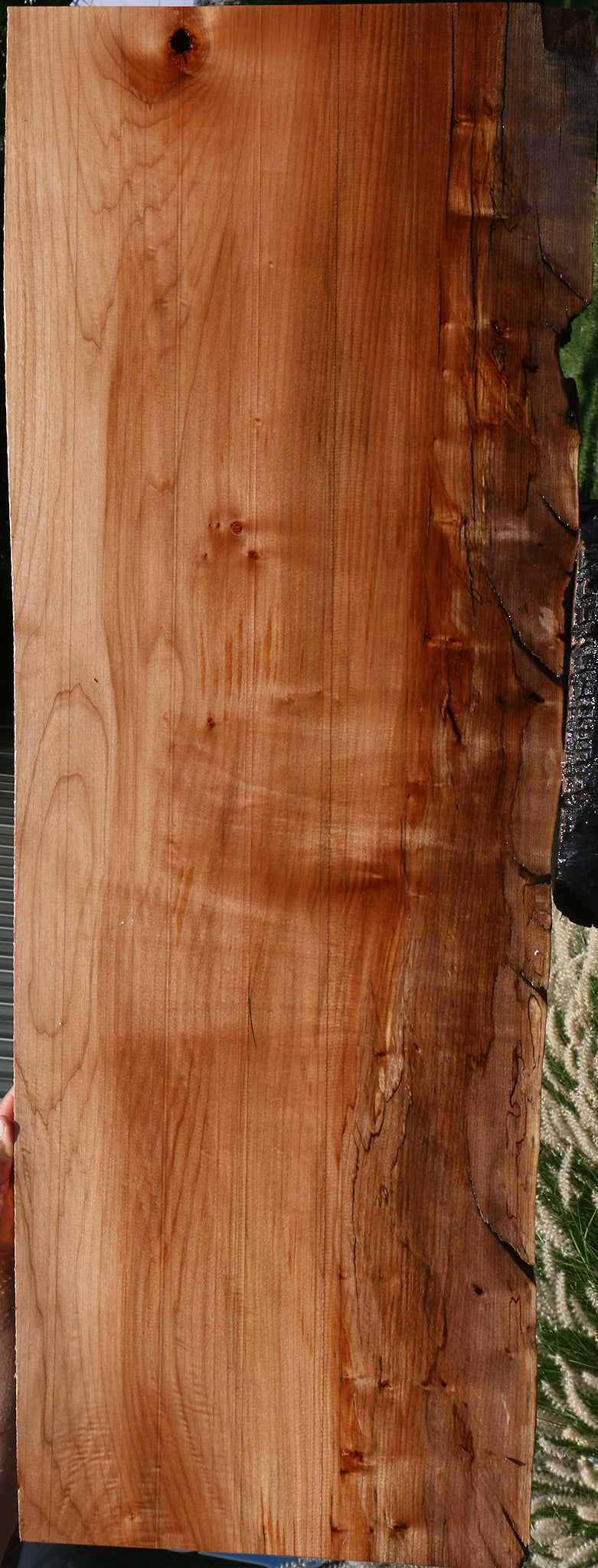 Figured Maple Live Edge Slab