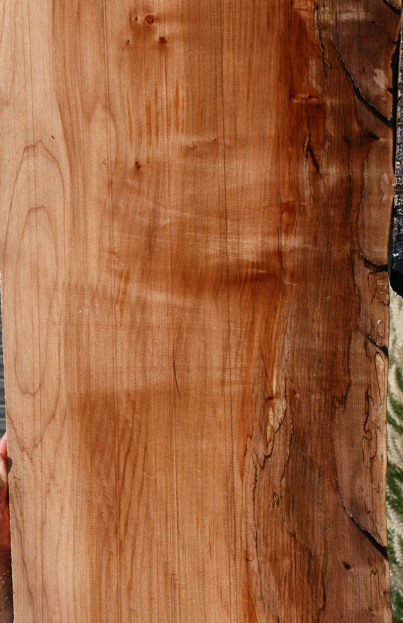 Figured Maple Live Edge Slab