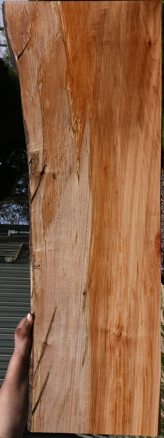 Maple Live Edge Mini Slab