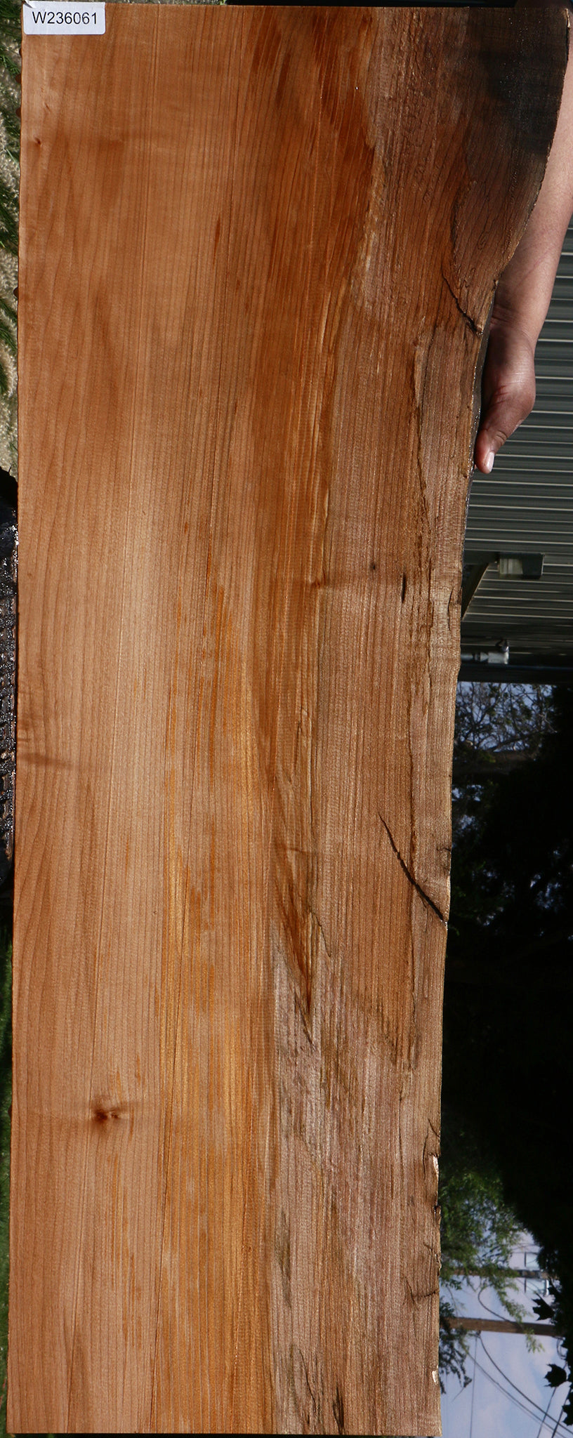 Maple Live Edge Mini Slab