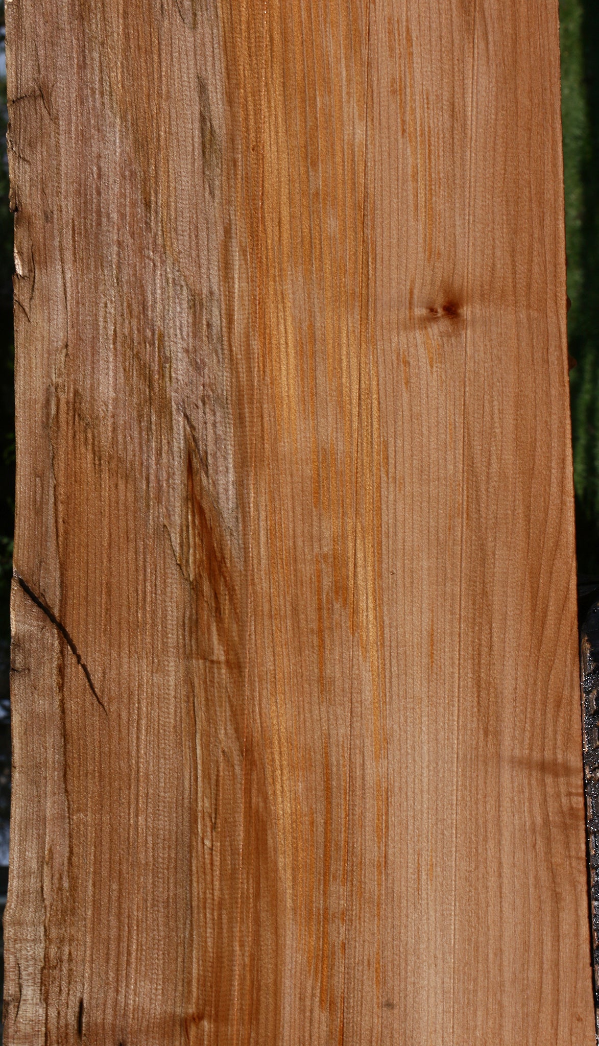 Maple Live Edge Mini Slab