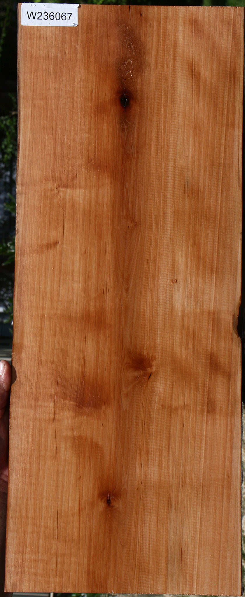 Figured Swiss Pear Live Edge Lumber