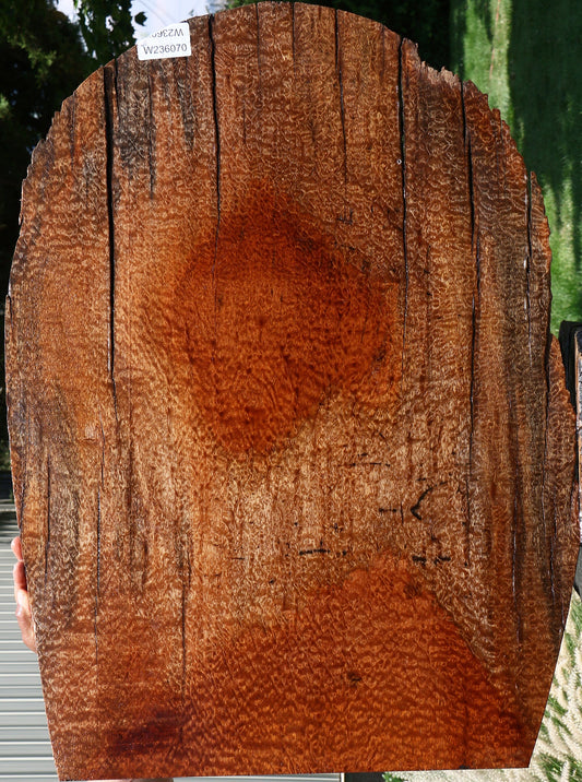 Rustic Pomelle Sapele Live Edge Mini Slab